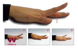 صفحه اصلی نوتورا